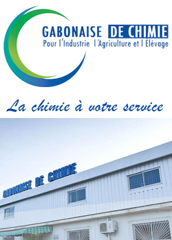 GCIAE Gabon Module 11_2017